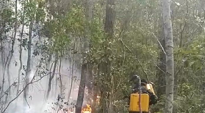 dois homens com roupas de camuflagem e bombas costais no meio do mato onde há fogo no chão