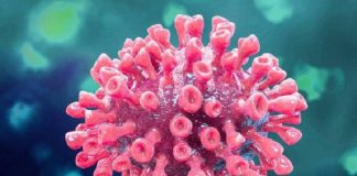 3 mil casos ativos: desenho reproduzindo a estrutura de um coronavírus, similar a um coral marinho