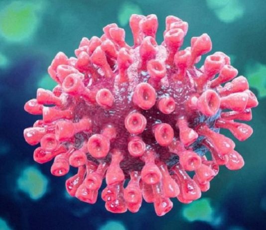 Governo do Estado confirma 5.413 casos e 91 mortes por Covid-19 3 mil casos ativos: desenho reproduzindo a estrutura de um coronavírus, similar a um coral marinho