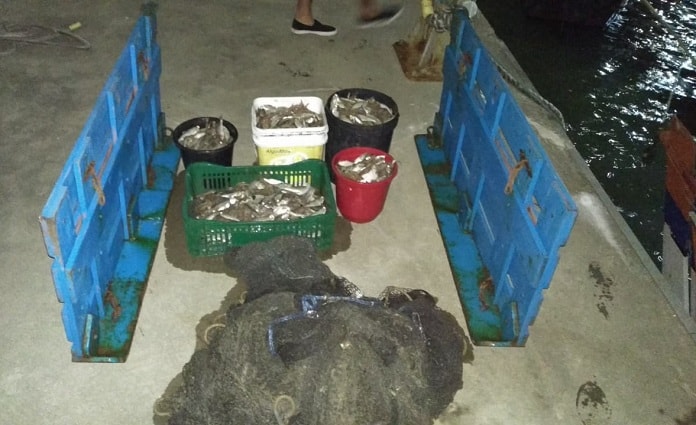 caixas com pescados sobre pier à noite