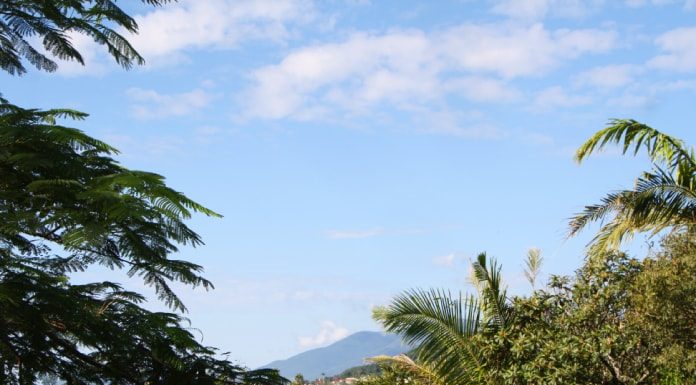 foto do céu azul quase sem nuvens com árvores na frente