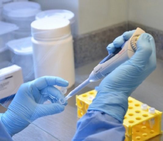 pessoa manipula ampolas com luvas