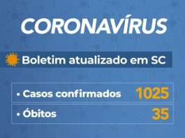 tabela mostra casos confirmados e óbitos em sc
