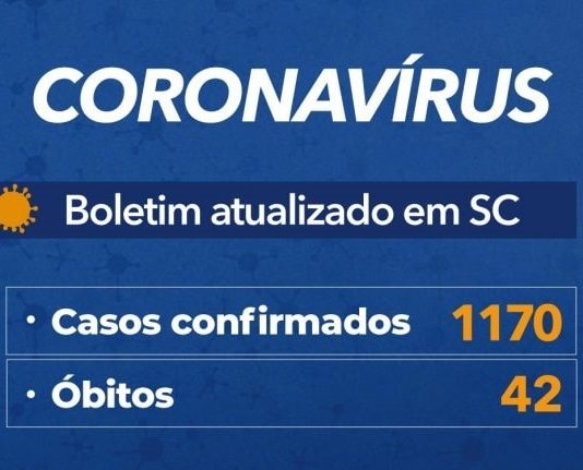 tabela coronavírus em sc mostra 1173 casos confirmados e 42 óbitos