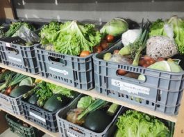 caixas com legumes organizadas em prateleiras