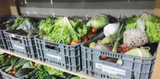 caixas com legumes organizadas em prateleiras