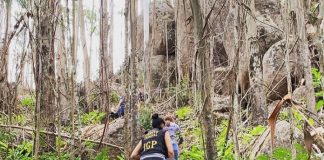 homem e mulher com coletes do igp sobem em trilha em pequeno aclive com árvores e pedras no local da Ossada encontrada em Canasvieiras