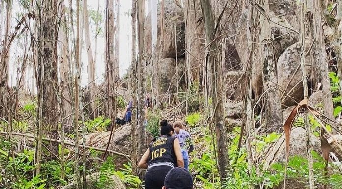 homem e mulher com coletes do igp sobem em trilha em pequeno aclive com árvores e pedras no local da Ossada encontrada em Canasvieiras