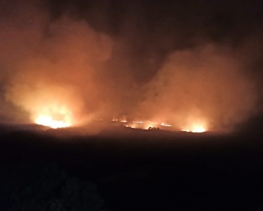 Suspeito de incendiar Parque da Serra do Tabuleiro é preso incêndio visto à distância em meio a grande área escura com muita fumaça