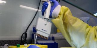 pessoa manipula com luva testes de coronavírus em laboratório