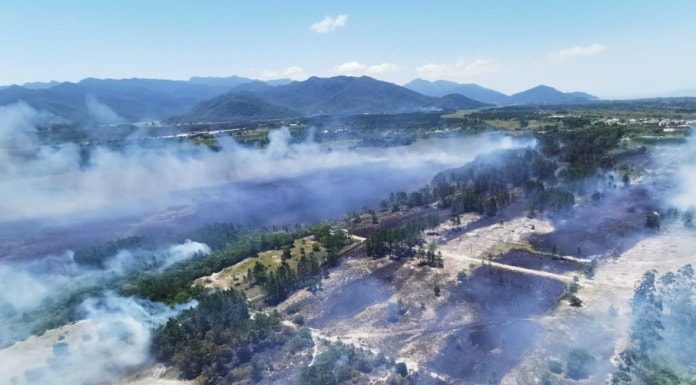 foto área de grande área plana com muita fumaçã subindo de diversos lugares da vegetação