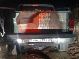 12 mil maços de Gudang Garam são apreendidos em São José caçamba da caminhonete aberta em estrada de terra no meio da mata escura; na caçamba, sob lona, diversos pacotes
