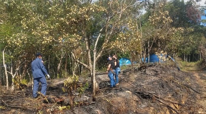 3 homens do corpo de bombeiros caminhando na mata