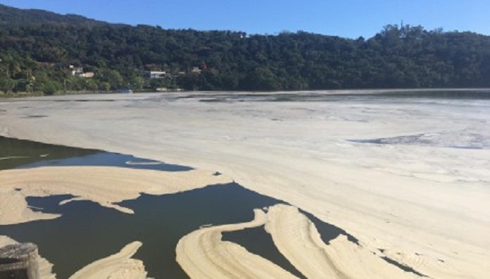 Imagem da Lagoa da Conceição com espuma na água