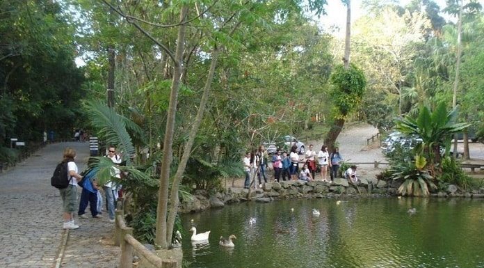 pessoas em volta do lago do parque em área com pistas de caminhada e muitas árvores