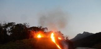 fogo em pequeno barranco ao lado de estrada de terra