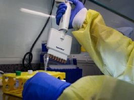 close em mãos de pessoa usando todos esquipamentos de proteção como luvas e macacão manipulando testes de coroanvírus