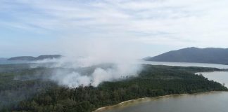 foto aérea da fumaça subindo da vegetação ao lado da lagoa