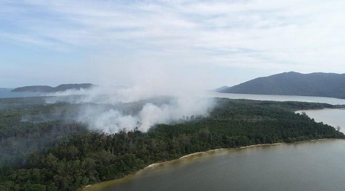 foto aérea da fumaça subindo da vegetação ao lado da lagoa