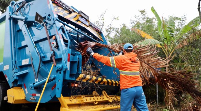 funcionário da comcap com uniforme de tempo frio joga folhas de palmeiras na traseira do caminhão de lixo ao lado de terreno com árvores
