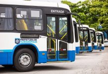 ônibus do transporte coletivo de florianópolis estacionados e alinhados vistos na parte frontal de lado
