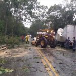 trator retirando galhos e árvores sobre pista de rodovia com caminhão amassado ao lado e prf olhando