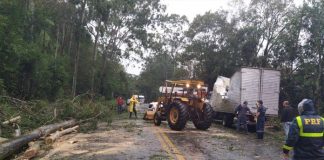 trator retirando galhos e árvores sobre pista de rodovia com caminhão amassado ao lado e prf olhando