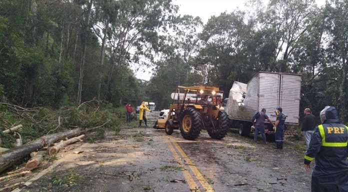 trator retirando galhos e árvores sobre pista de rodovia com caminhão amassado ao lado e prf olhando