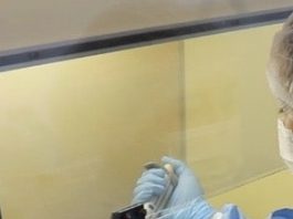 Estado tem 12 mil pessoas em tratamento para Covid-19 pessoas usando todos epi manipula amostra dentro de bancada