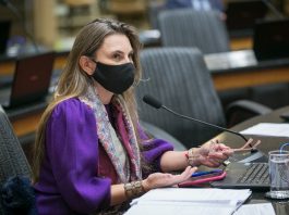 deputada paulinha usando máscara sentada em bancada do plenário da alesc