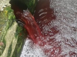 esgoto vermelho caindo em vala