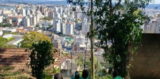 homens uniformizados vistos de costas sob árvore, galhos caídos em volta centro de florianópolis ao fundo