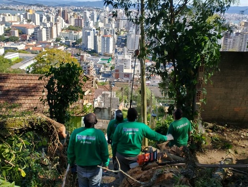 homens uniformizados vistos de costas sob árvore, galhos caídos em volta centro de florianópolis ao fundo