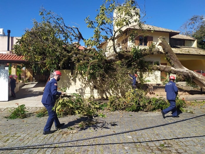 árvore caída sobre uma casa de classe média com bombeiros na frente