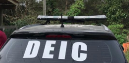 Carro preto com adesivo da DEIC no vidro traseiro