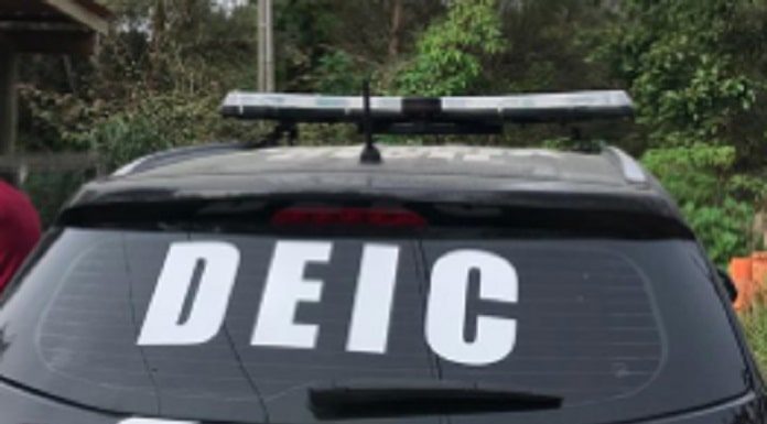 Carro preto com adesivo da DEIC no vidro traseiro