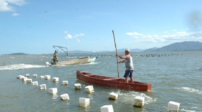homem de pé em canoa