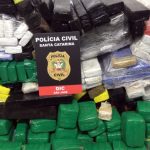 pilha de pacotes de maconha com placa da polícia civil por cima