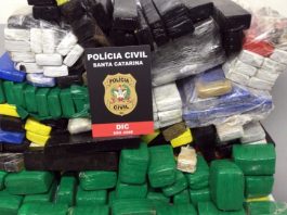 pilha de pacotes de maconha com placa da polícia civil por cima