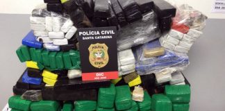 pilha de pacotes de maconha com placa da polícia civil por cima