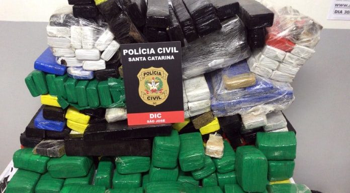 pilha de pacotes de maconha com placa da polícia civil por cima