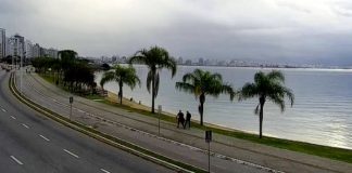 dois homens são vistos andando na beira-mar de florianópolis em foto à distância; palmeiras na orla, mar calmo, sem carros na avenida