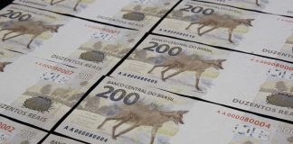 cédulas de 200 reais com o lobo-guará estampado