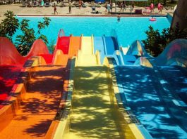 tobogãs coloridos em queda para uma piscina ao fundo, com banhistas circulando; sombra de árvore por cima do tobogã