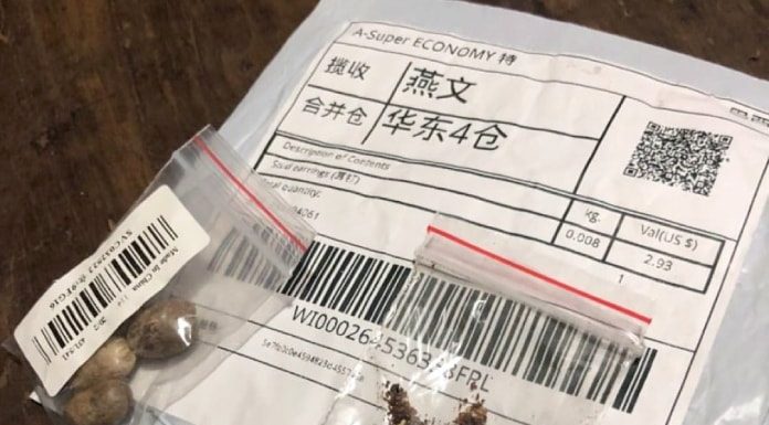 dois pequenos saquinhos transparentes com sementes dentro sobre um pacote com código de barra e inscrição em chinês
