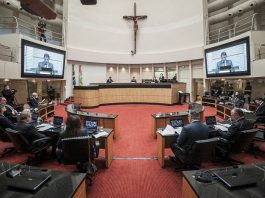 plenário visto pelo meio da bancada com grande cruz no alto e deputados olhando presidente do tjsc no telão