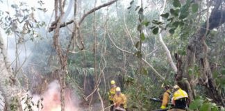 cinco bombeiro em volta de chamas em uma pequena clareira na mata com muita fumaça