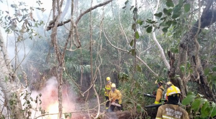 cinco bombeiro em volta de chamas em uma pequena clareira na mata com muita fumaça
