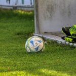 O treinador, vitória do Leão, grande final da Libertadores