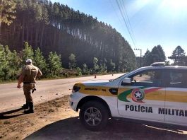 policia rodoviário em frente à caminhonte da PMRV na beira de estrada; plantação de eucalipto ao fundo